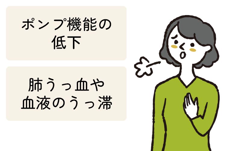 循環器内科