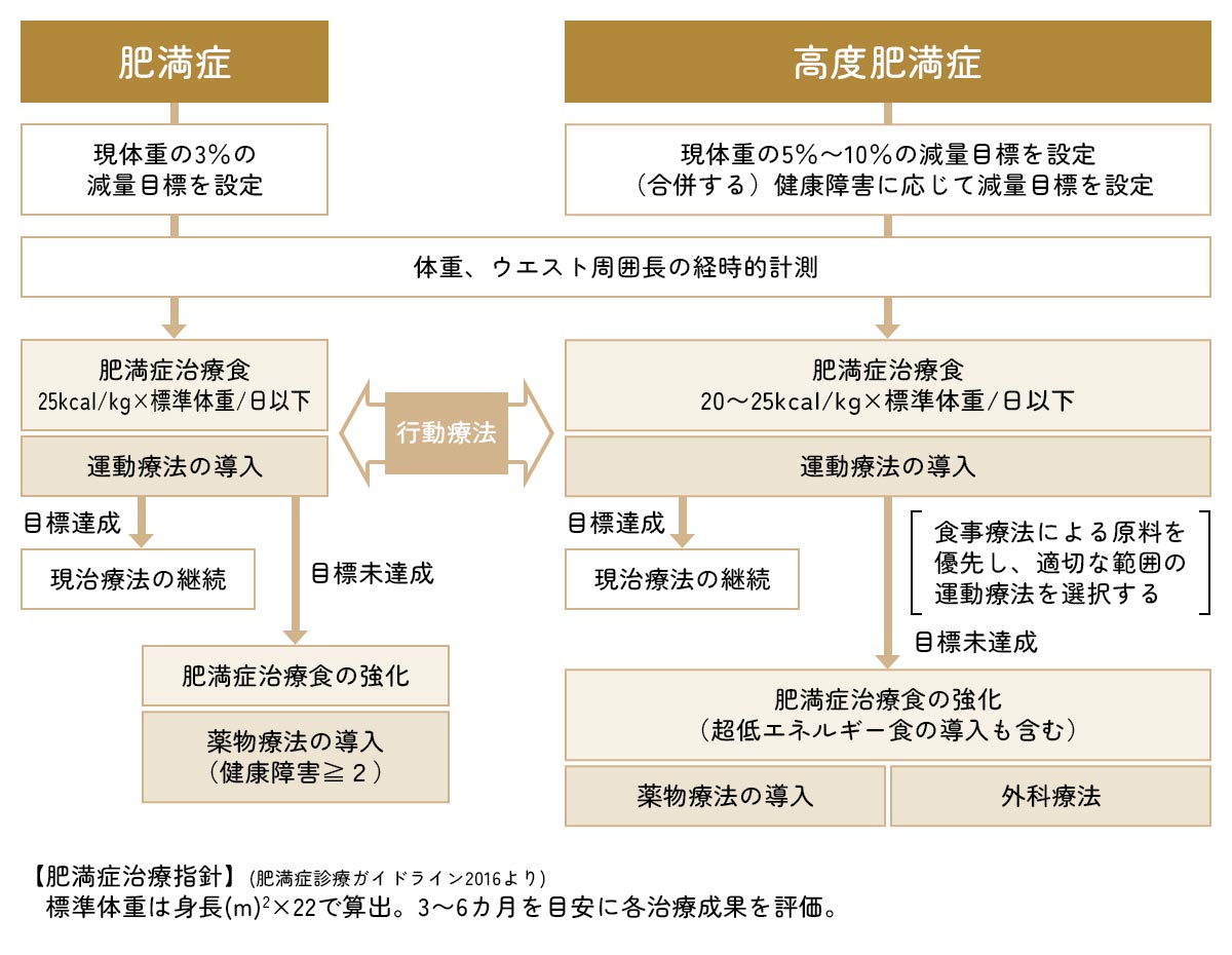肥満症の治療の目標